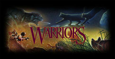 warriors banner
